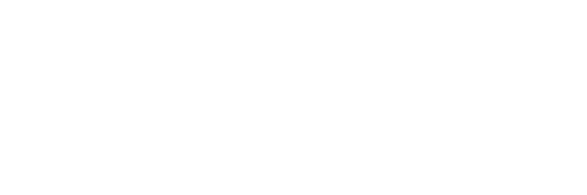 Port Authority of Jamaica Logo
